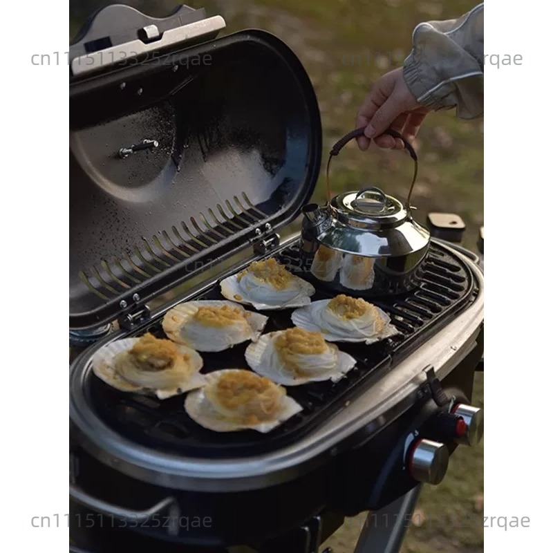 Réchaud de cuisson au gaz port - Camping Cooking Range avis et prix